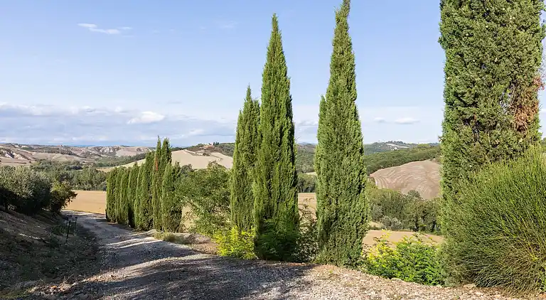Farm house in Buonconvento