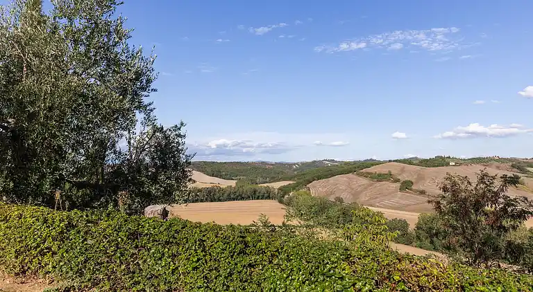 Farm house in Buonconvento