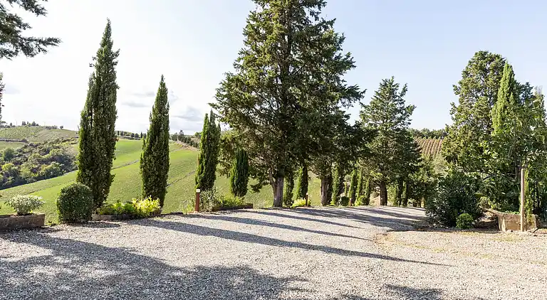 Farm house in Buonconvento