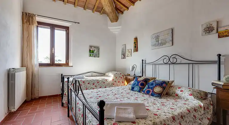 Farm house in Buonconvento