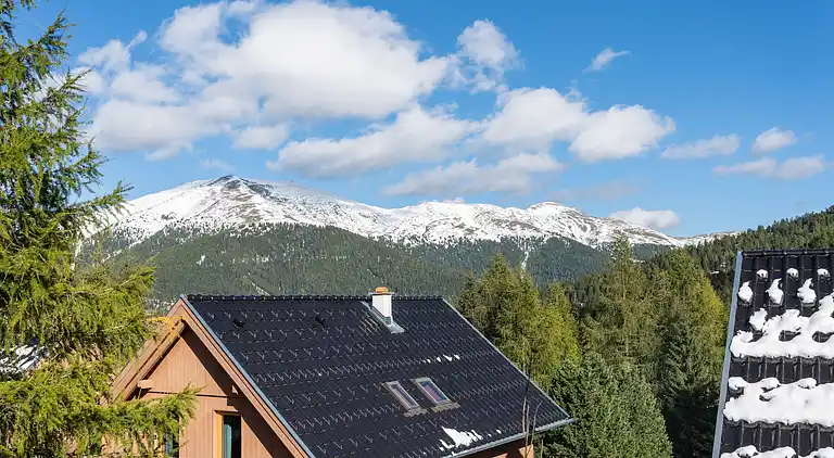 Cottage in Predlitz-Turrach