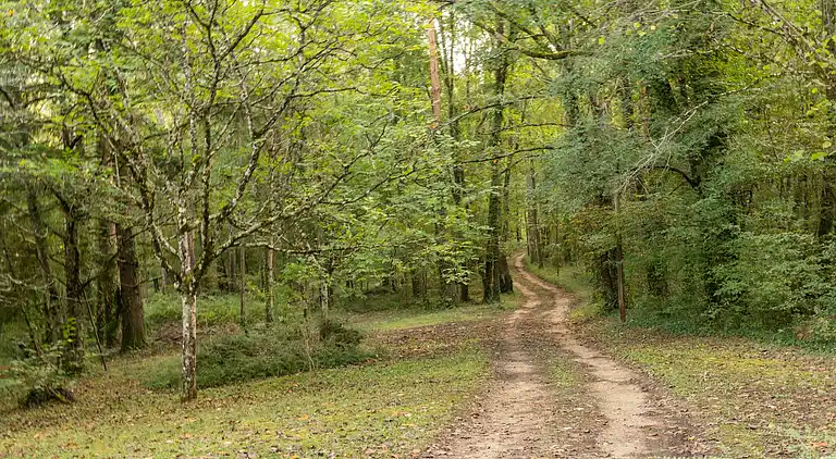 Holiday home in Loubejac
