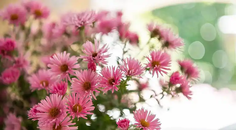 Holiday home in Loubejac