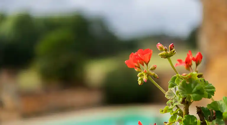 Holiday home in Loubejac