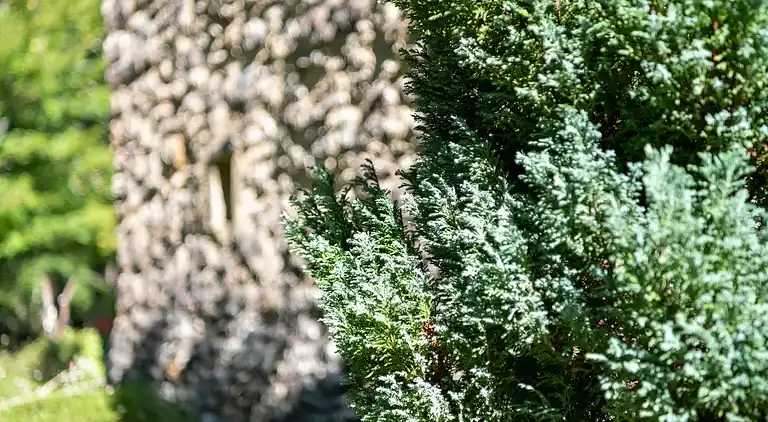 Holiday home in Loubejac