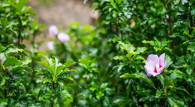 Casa de vacaciones en Loubejac