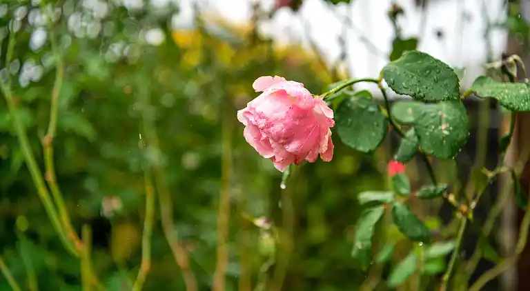 Casa de vacaciones en Loubejac