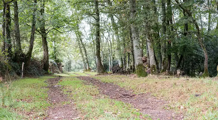 Holiday home in Meslan