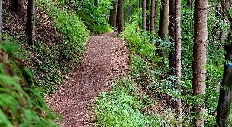 Maison de vacances en Malung NV