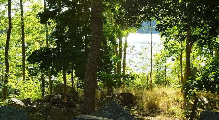 Ferienhaus in Strängnäs Ö