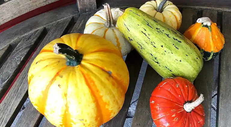 Semesterbostad i Otterup