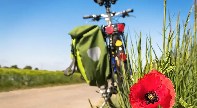 Sommerhus i Uddevalla