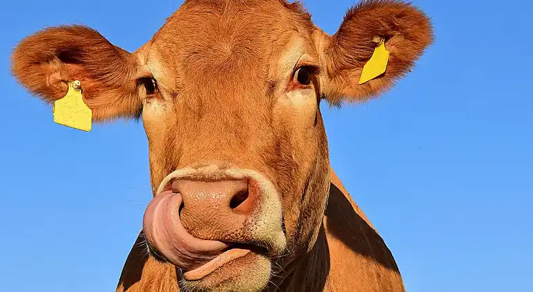 Holiday home in Gothenburg