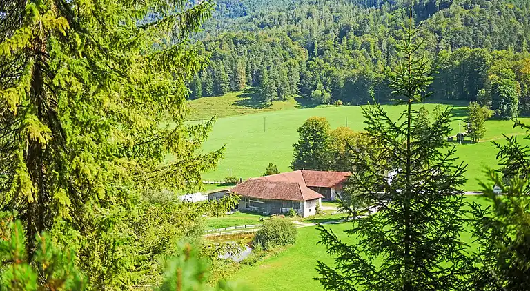 Cottage in Molln