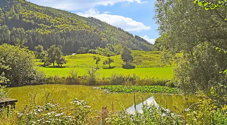 Cottage in Molln