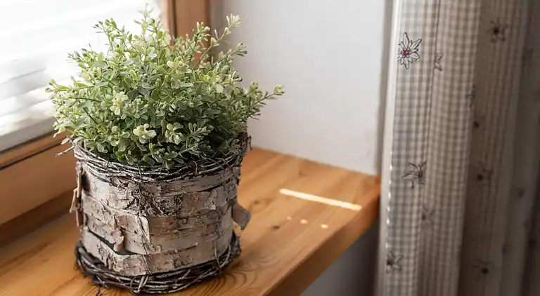 Apartment in Maria Alm