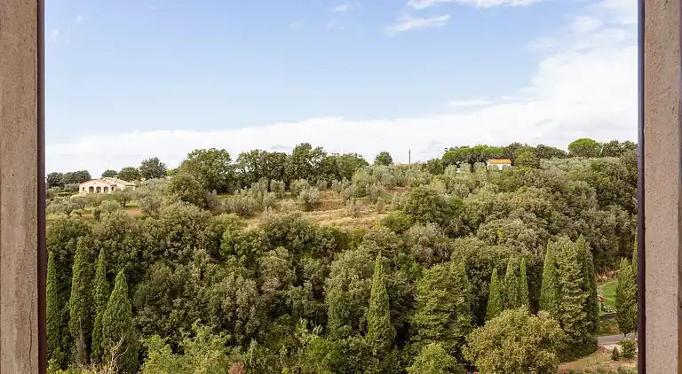 Holiday home in Bibbona