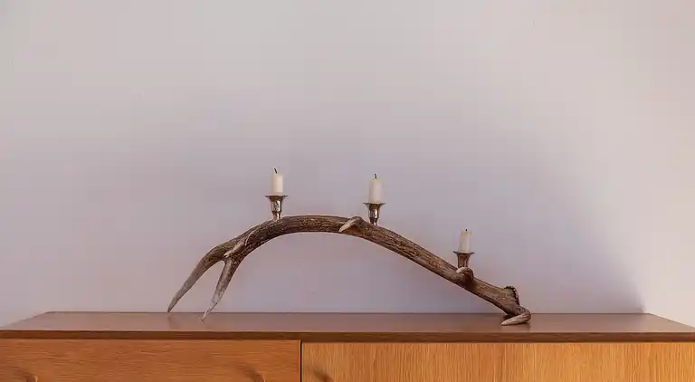 Apartment in Matschiedl