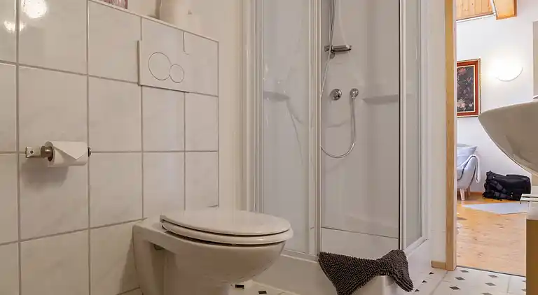 Apartment in Matschiedl