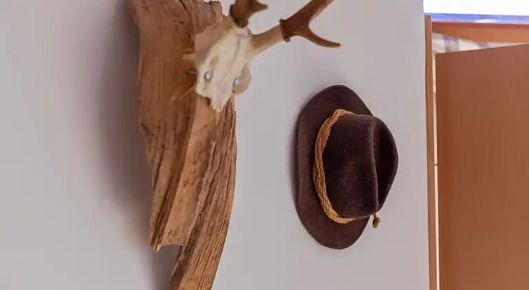 Apartment in Matschiedl