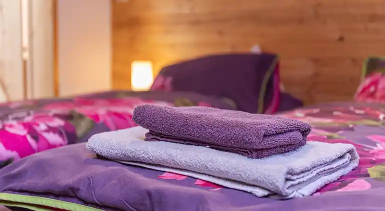 Apartment in Matschiedl