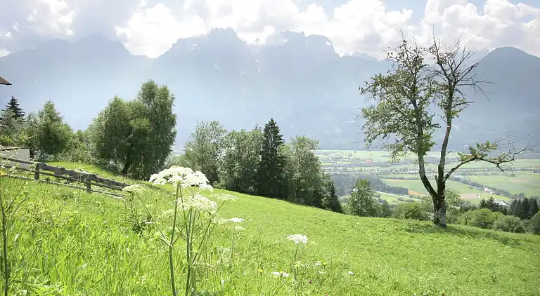 Hytte i Stronach-Säge