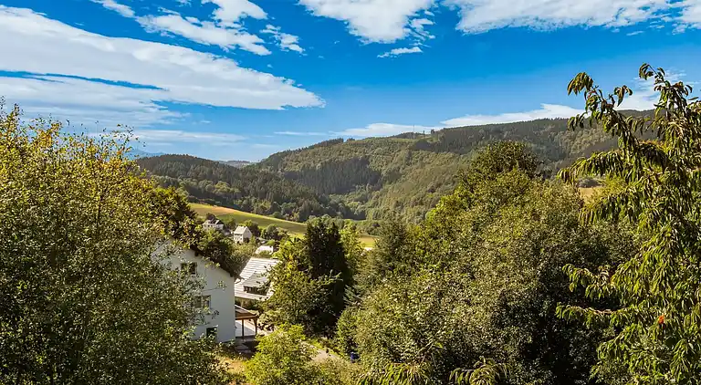 Ferielejlighed i Schwalefeld