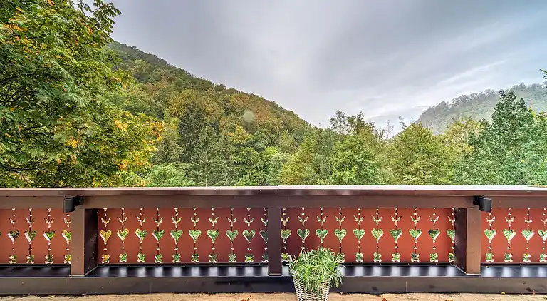 Apartment in Bad Harzburg