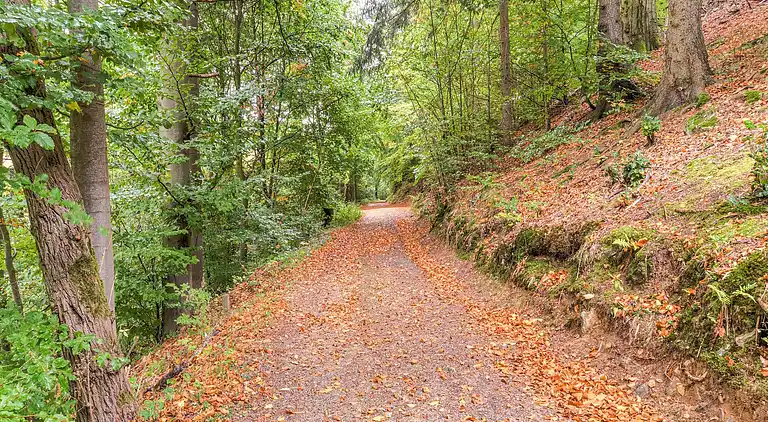 Apartment in Bad Harzburg