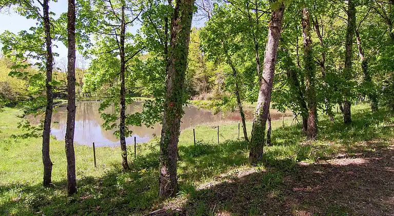 Holiday home in Vouthon