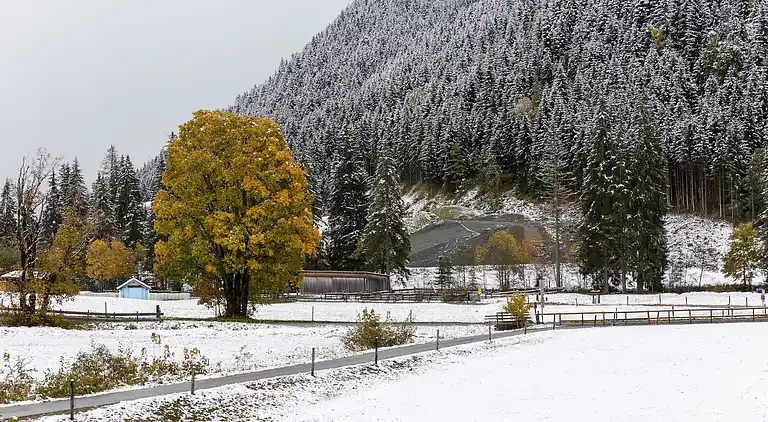 Cottage in Hinterglemm