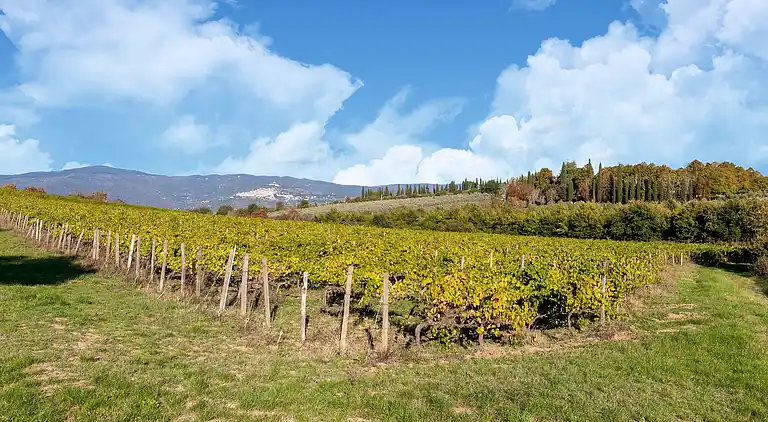 Casa rural en Camucia