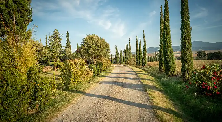 Vakantiehuis in Colle di Val d'Elsa