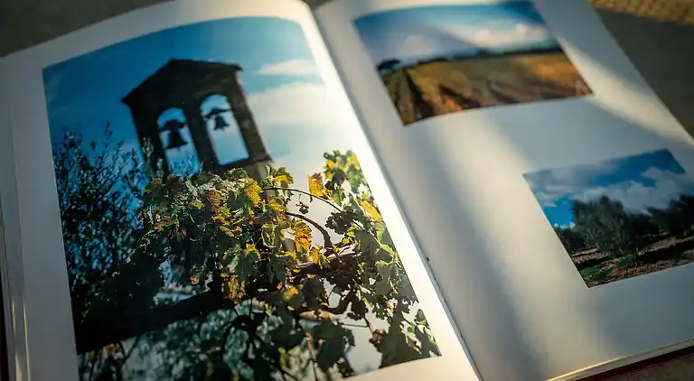 Vakantiehuis in Colle di Val d'Elsa