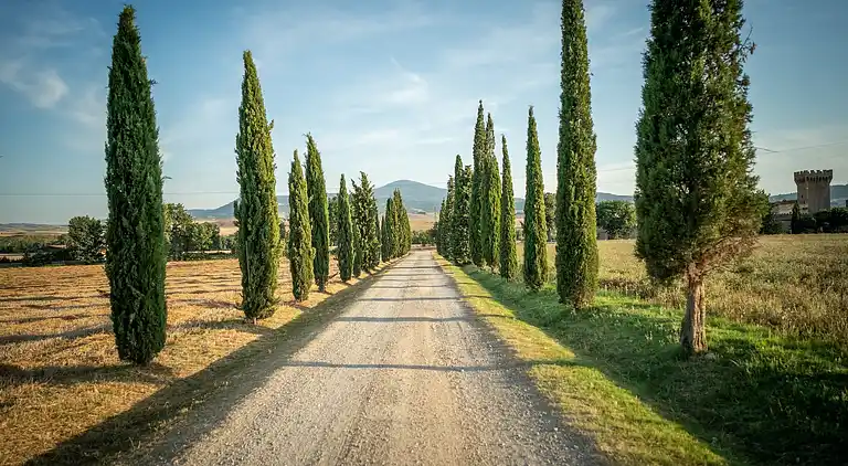 Vakantiehuis in Colle di Val d'Elsa
