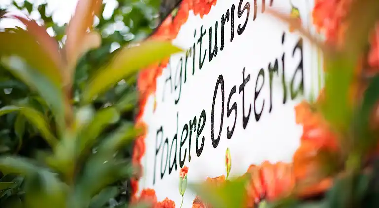 Vakantiehuis in Colle di Val d'Elsa