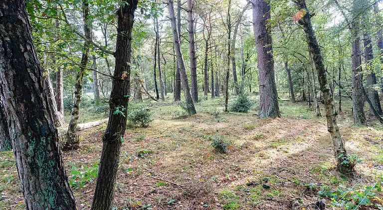 Semesterbostad i Boijl