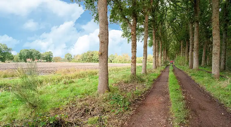 Semesterbostad i Boijl