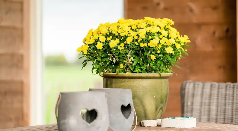 Semesterbostad i Boijl