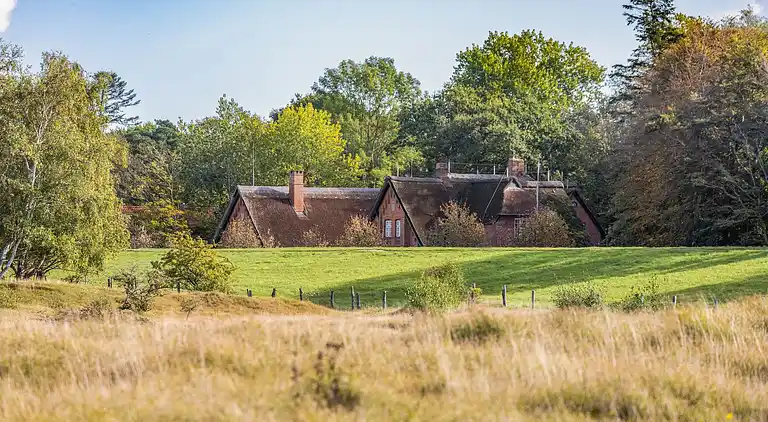 Holiday home in Dannau