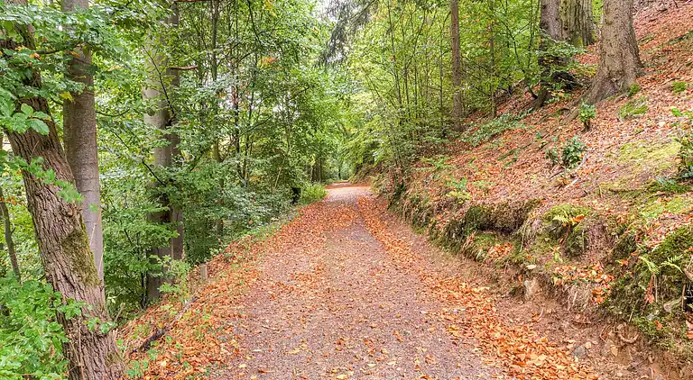 Ferielejlighed i Bad Harzburg