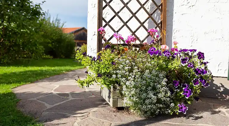 Apartment in Trauchgau