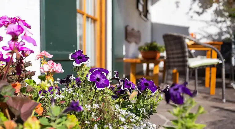 Apartment in Trauchgau