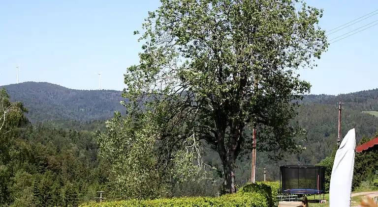 Gårdhus i Wehrhalden