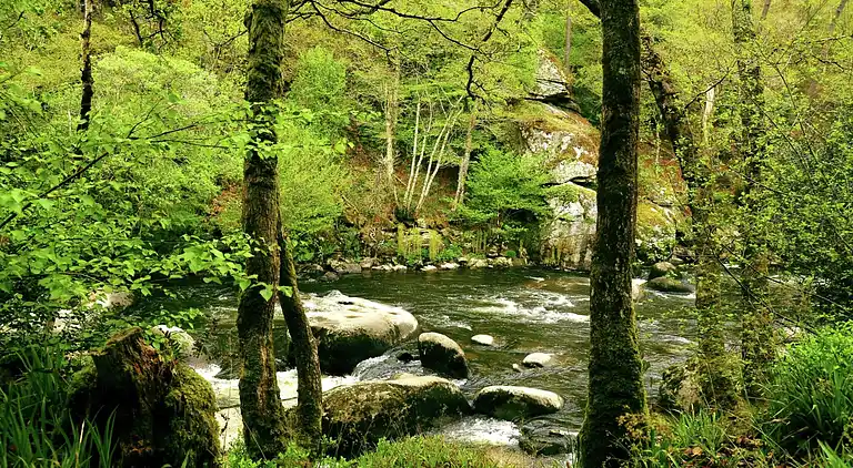 Semesterbostad i Querrien