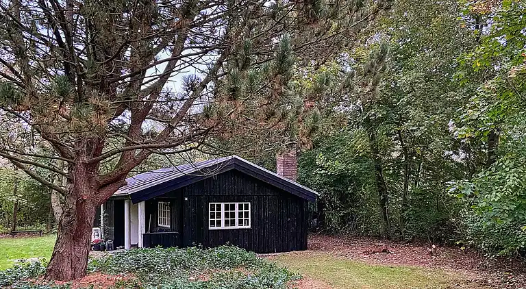 Casa vacanze in Bork Havn