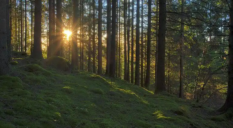 Semesterbostad i Mölndal