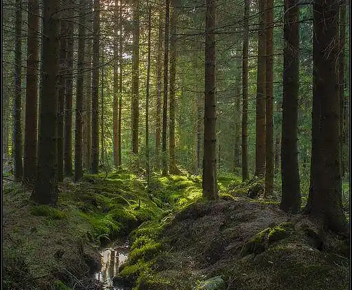 Semesterbostad i Mölndal