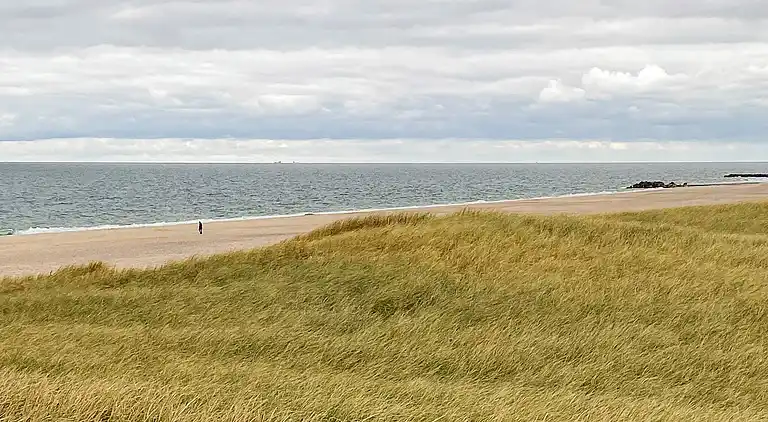 Sommerhus ved Vrist Strand