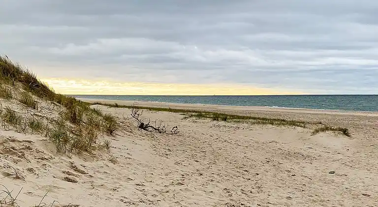 Sommerhus ved Vrist Strand
